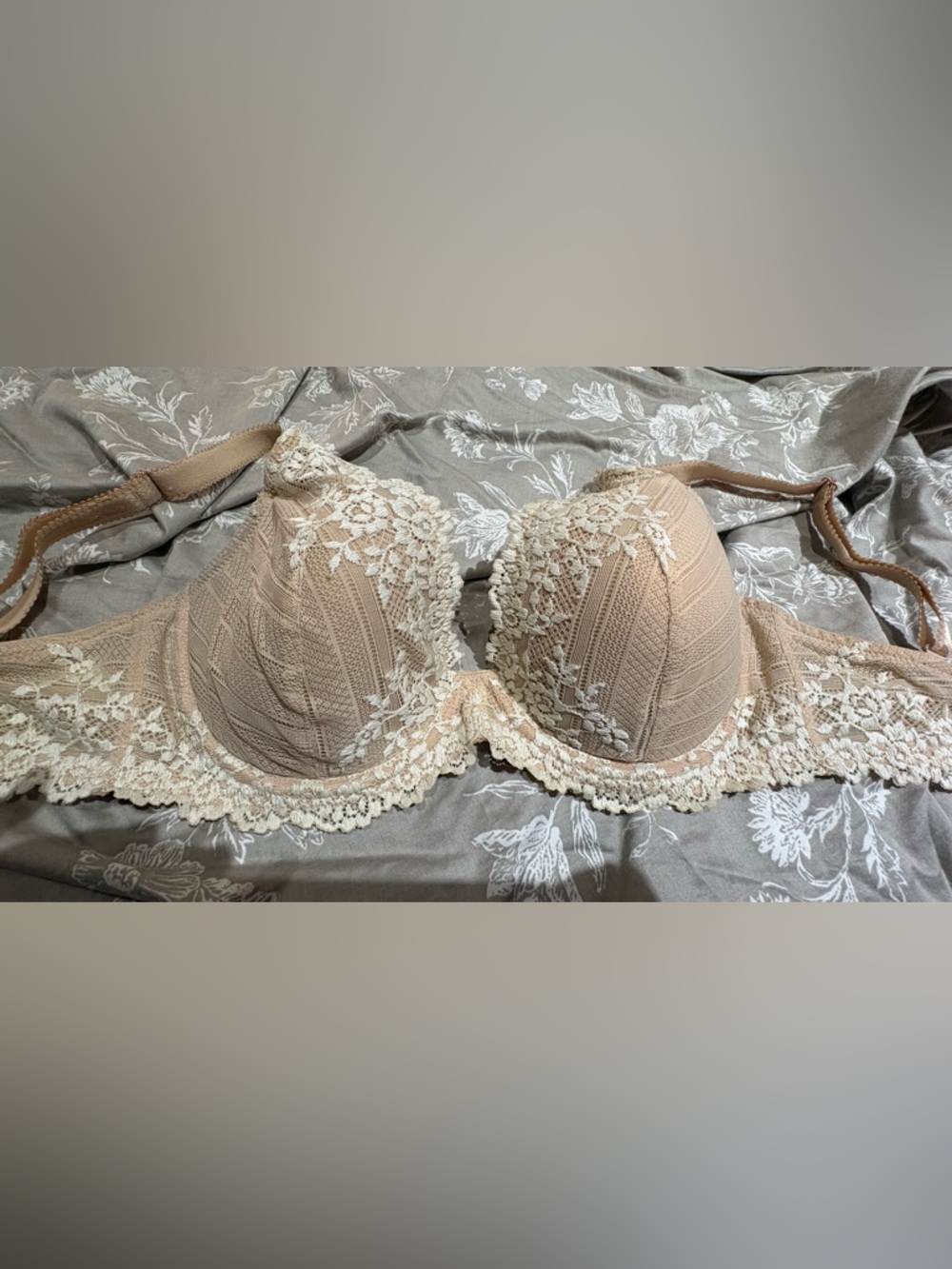 Wacoal nude ivory lace bra 32DD